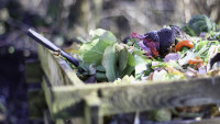 kompost garden-4725522 1280